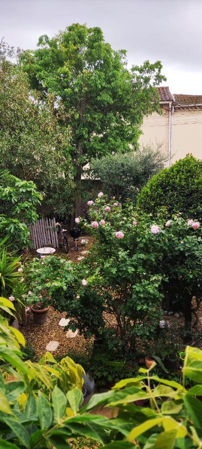 Villa Fontilha Usclas-l'Herault Ngoại thất bức ảnh