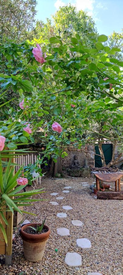Villa Fontilha Usclas-l'Herault Ngoại thất bức ảnh